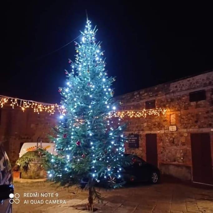 Villa Marta Contignano Exteriér fotografie